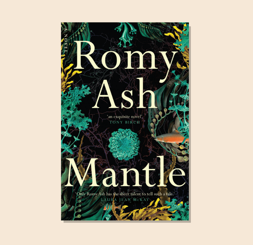 Book Club Questions for Mantle by Romy Ash – WellRead