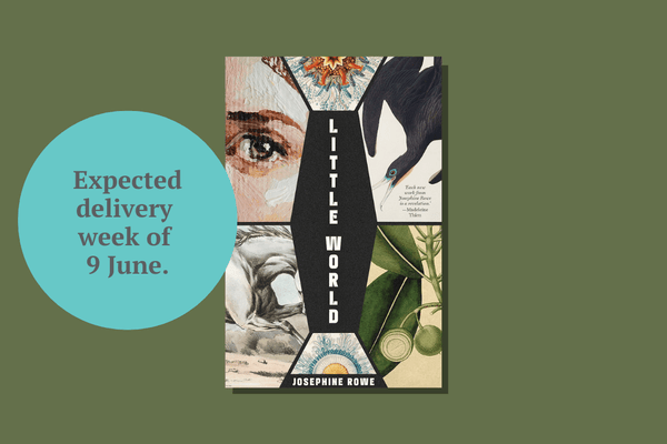 Little World by Josephine Rowe - WellRead