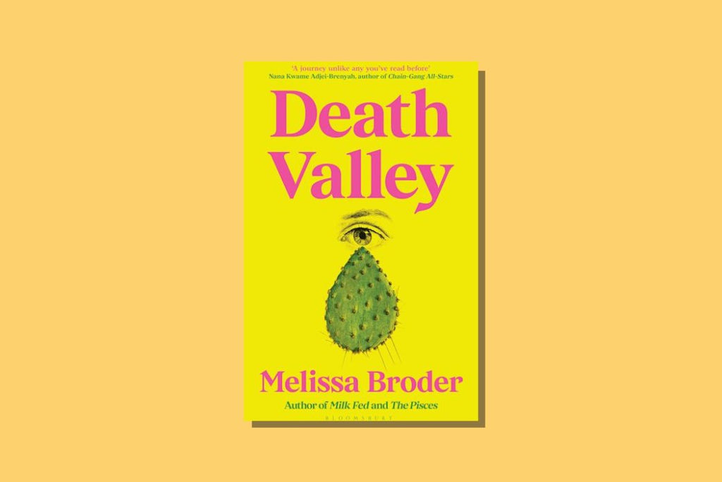 Death Valley by Melissa Broder (November's Selection) - WellRead
